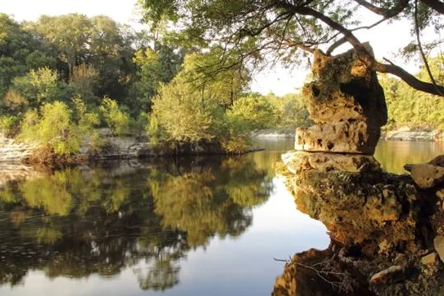 Suwannee River State Park