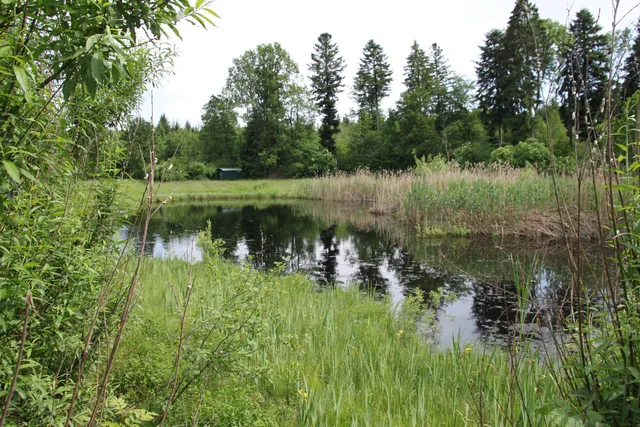 Vogelmoos Nature Reserve