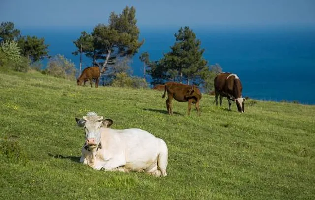 Temático de la Prehistoria “Livio M. Curto" Park
