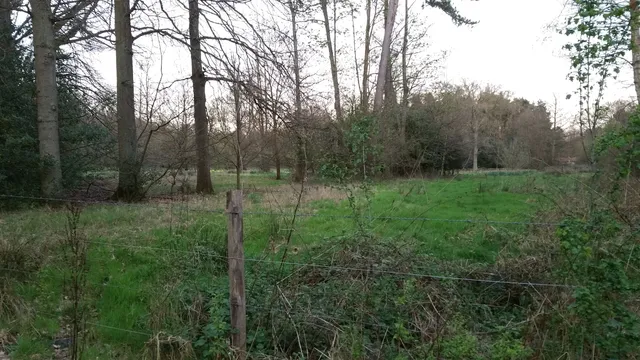 Windlesham Arboretum