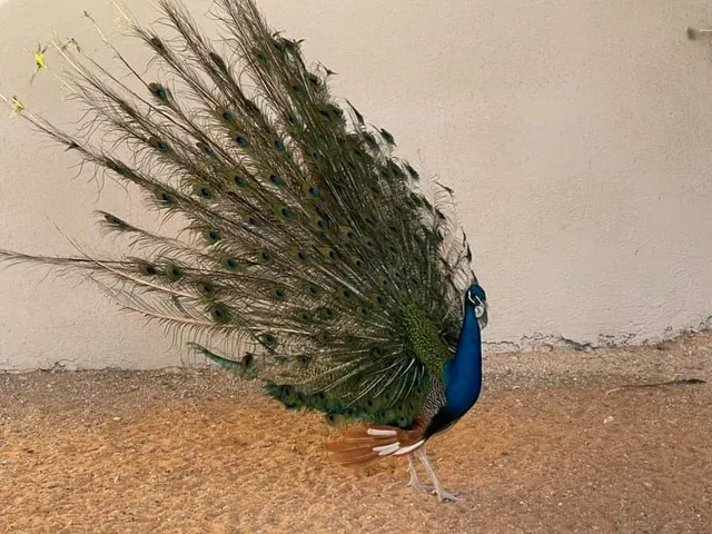 اقرأ ا في اي وقت للكتب وقصص اطفال