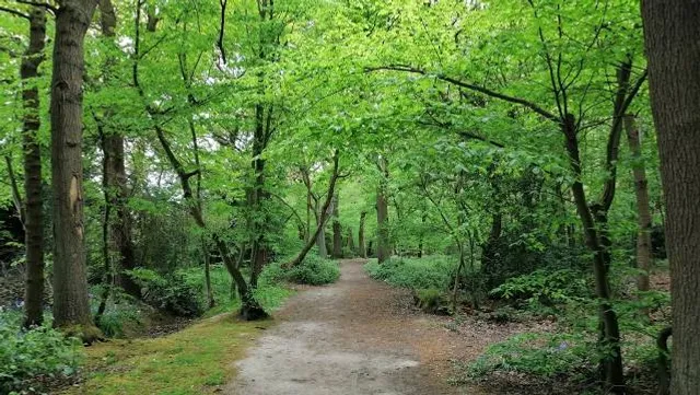 Belfairs Wood, Park & Nature Reserve