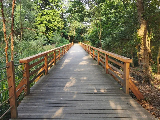 Swojczycki Park CZARNA WODA