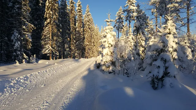 Spikbodarna Parkering