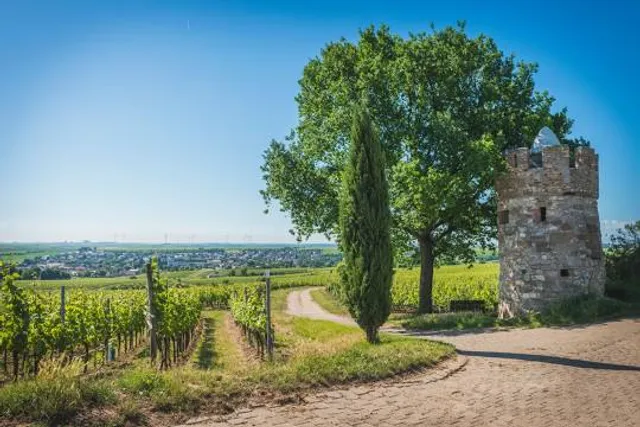 Weinmuseum Moschendorf