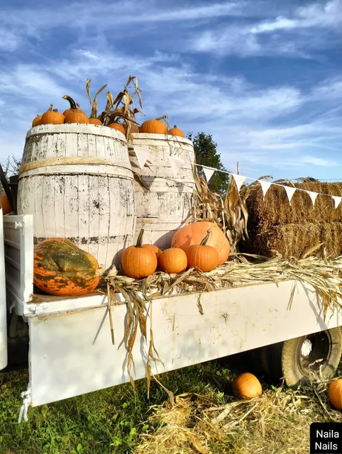 Villaggio delle Zucche di Nonno Andrea