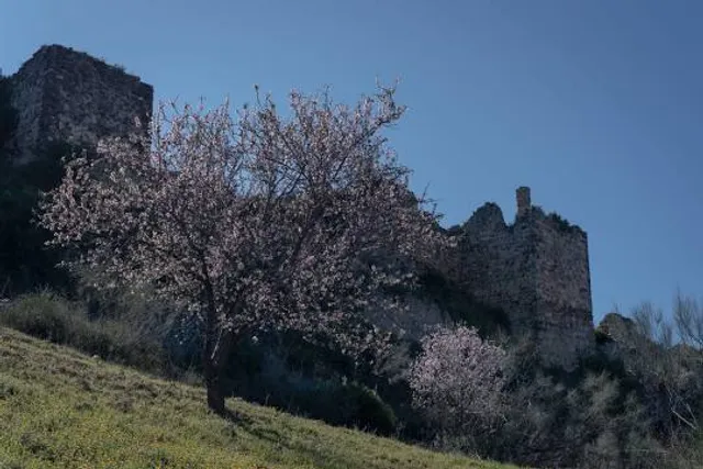 Castillo de la Peña