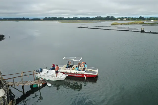 Sterna Aveiro Ria Tours & Birdwatching