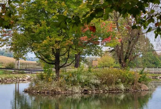 Bullfrog Valley Park