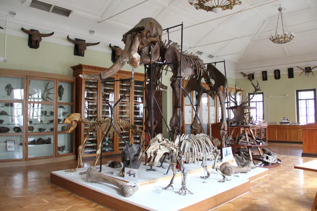 Stukenberg Geological Museum