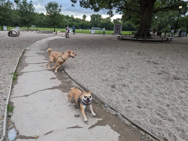 Thorndike Field Park