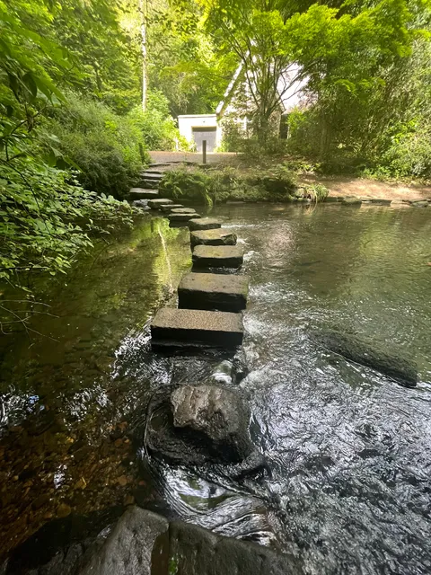 Ouse burn stepping stones