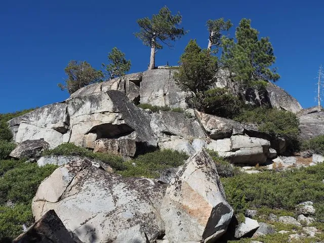 Glen Alpine Trailhead-Lily