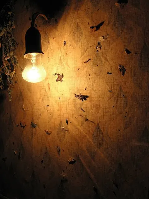 GVV Sontheim-Niederstotzingen