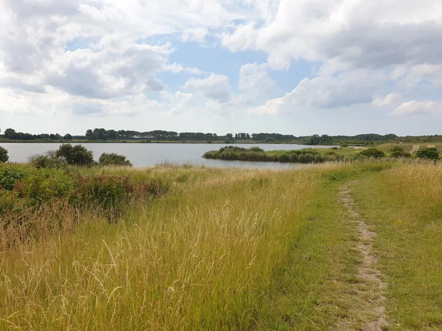 Natuurgebied Scheelhoek
