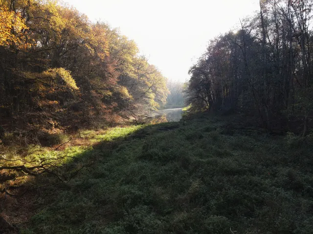 Rezerwat przyrody Wiślisko Kobyle
