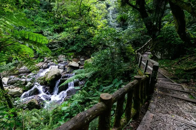 Manyueyuan National Forest Recreation Area