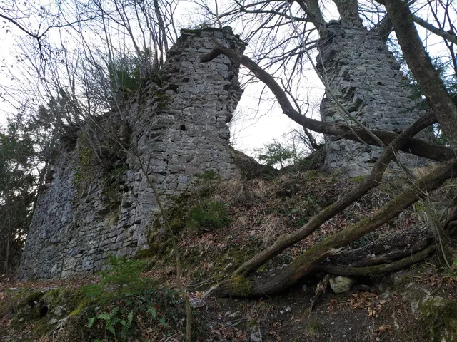 Wild Loka Castle (Old Castle)