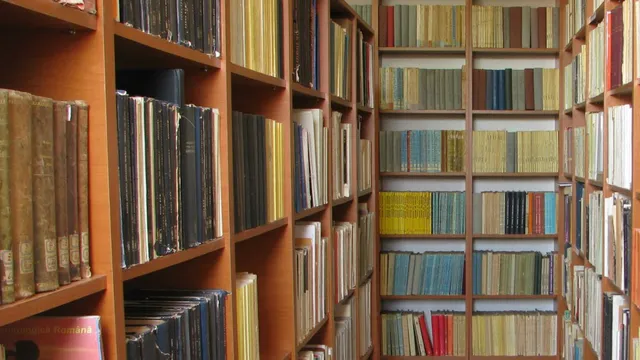 Mureș County Museum (Administration)