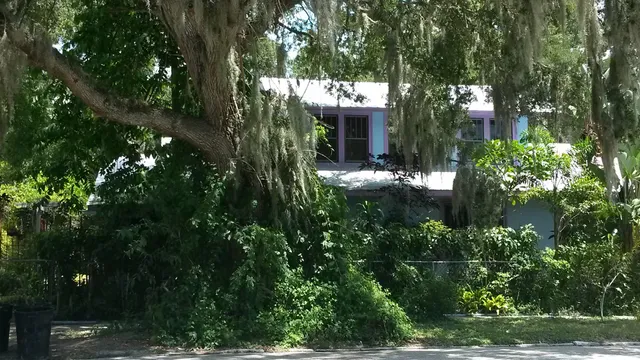 photo-1