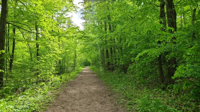 Eldred King Woodlands