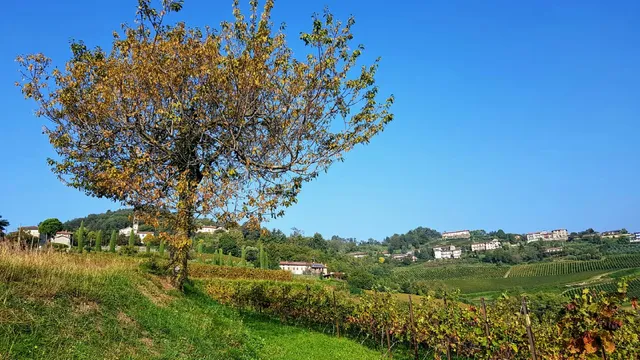 Azienda Agricola Ravasio Fabio