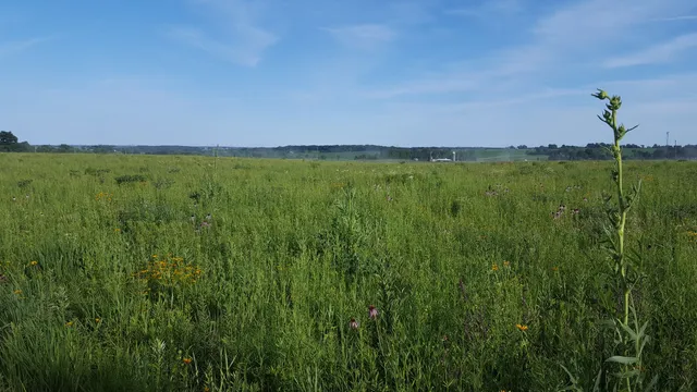 Byron Forest Preserve District