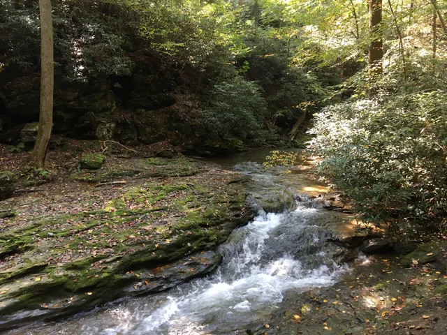 Tucquan Glen & Pyfer Nature Preserves