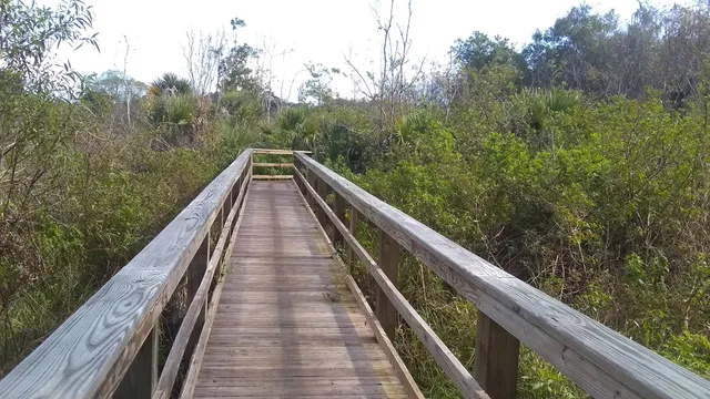 Wuesthoff Park & Homer Powell Nature Area