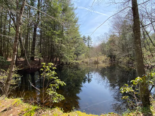 Capen Hill Nature Sanctuary