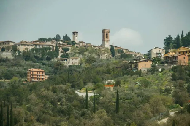 Hill Close Gardens Trust Warwick