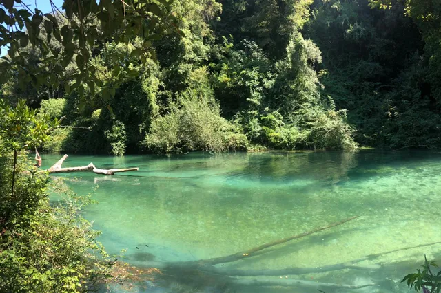 Domus Octavia • Mulino delle conce