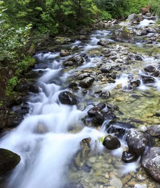 Arroyo Piedras Blancas