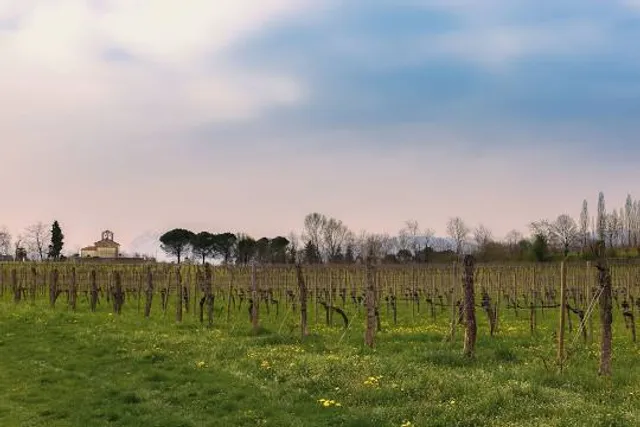 Castello d'Arcano Superiore