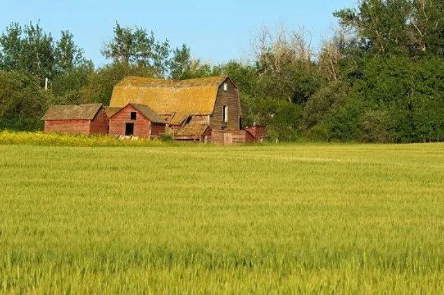 Muzeum Kultury Ludowej w Osieku nad Notecią. Oddział Muzeum Okręgowego im. S. Staszica w Pile