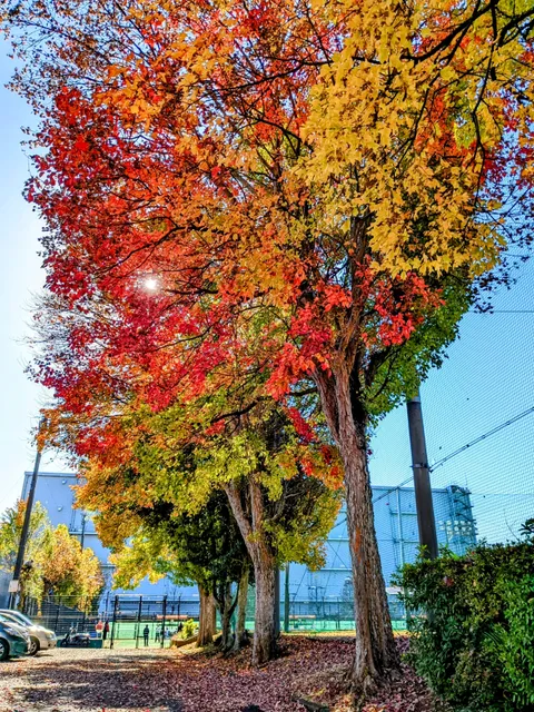 Nakatsu Industrial Park No.1 Park