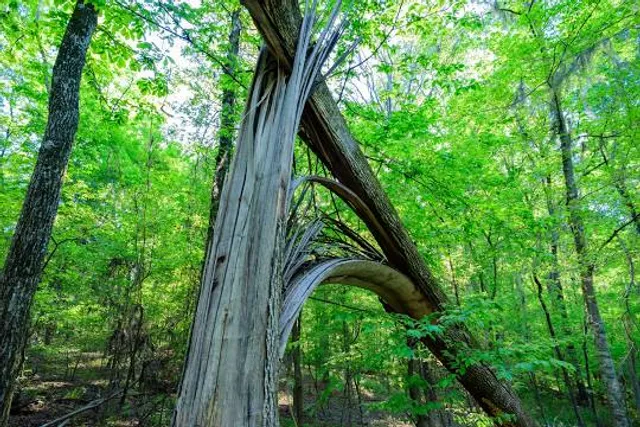 Three Rivers State Park