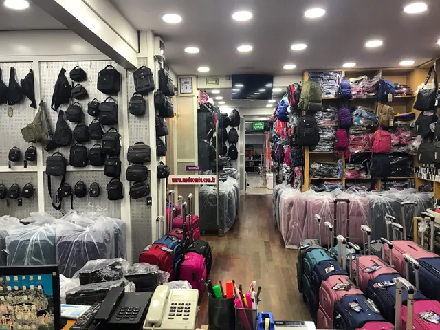 Fashion Handbags and Belts