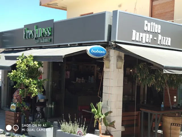 Freshness Lunch Cafe