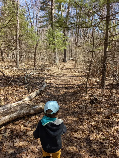 Mass Audubon Museum of American Bird Art Education Center