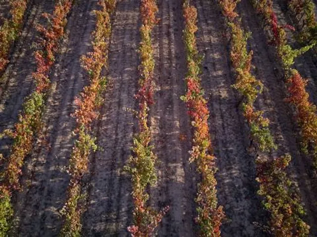 Portland Park Country Park