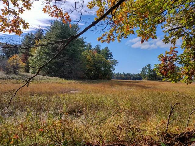 The Raymond & Simone Savage Wildlife Preserve - Great Works Regional Land Trust