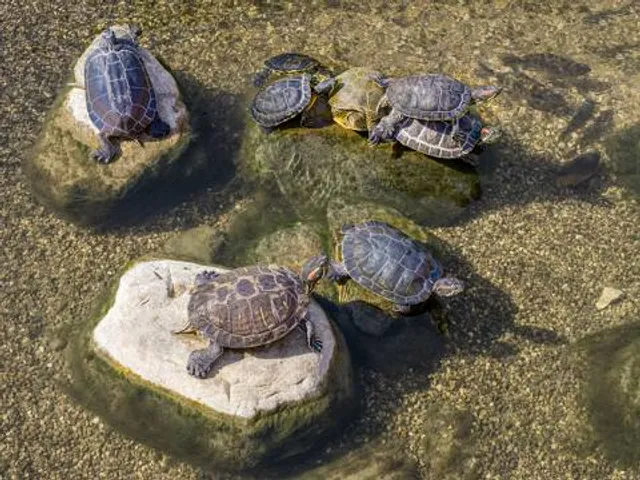 Aquarium Périgord Noir