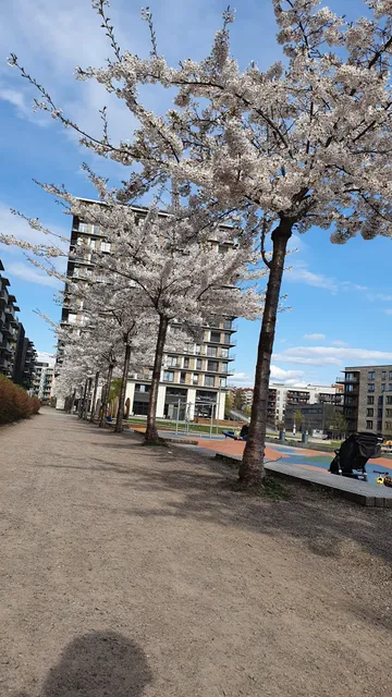 photo-2