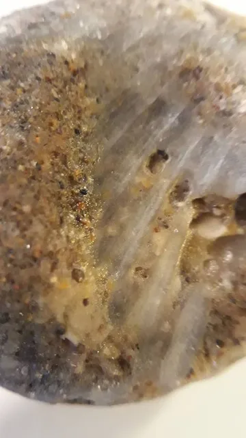 Owosso Charter Township