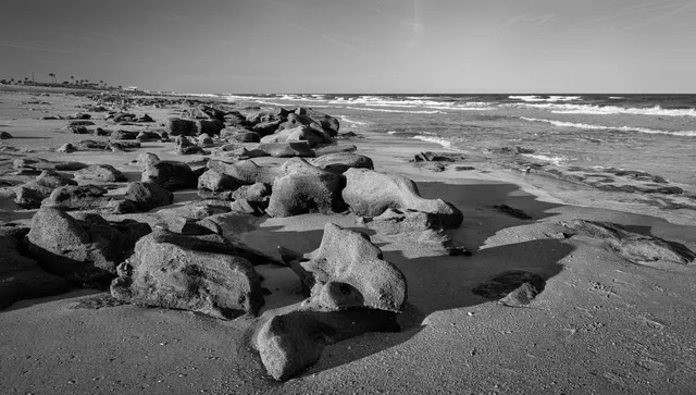 River to Sea Preserve