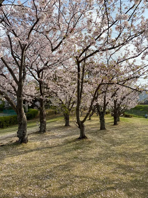 Naka Park