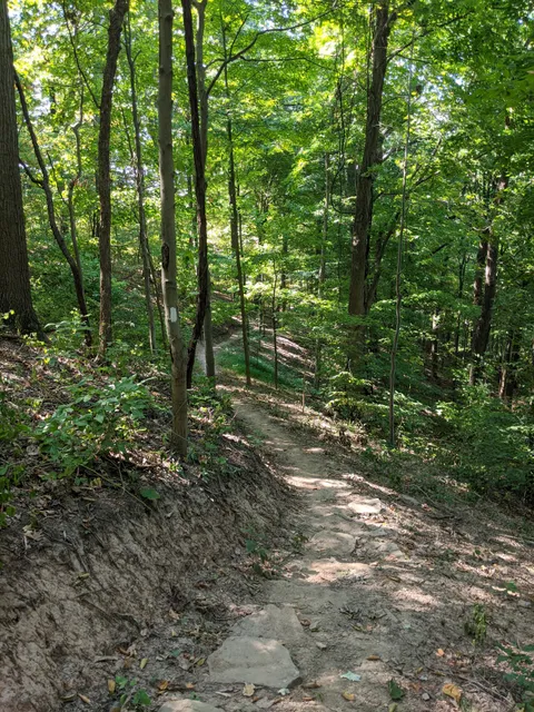 Toms Run Nature Reserve