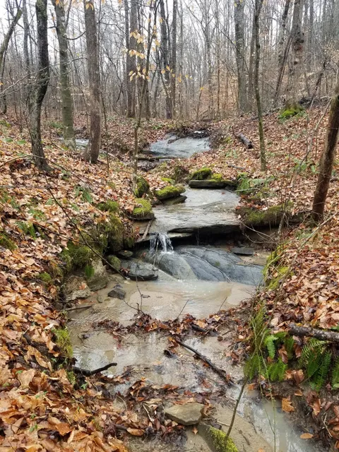 Cascades Preserve