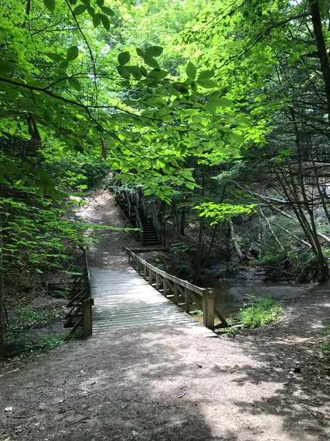 Forêt du Grand Coteau